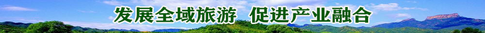 全域旅游广告语