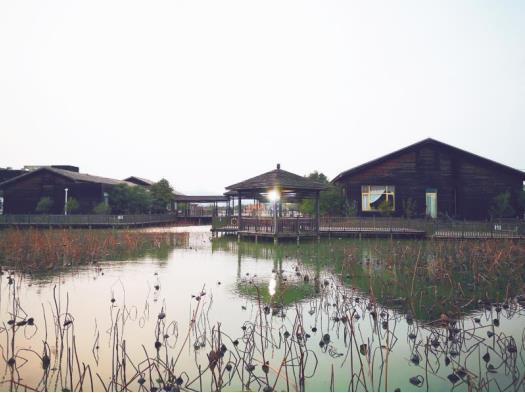 旅游业“严冬”之后如何“浴火重生”？ 苏州太湖旅游度假区积极赋能旅游服务业复苏