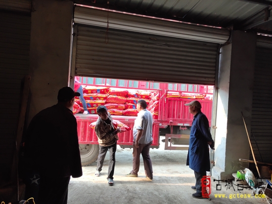台儿庄|马兰屯镇土楼村积极探索“三方共赢”土地托管新模式