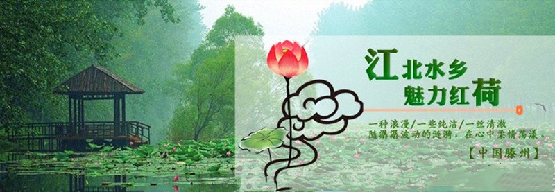 滕州微山湖红荷湿地景区